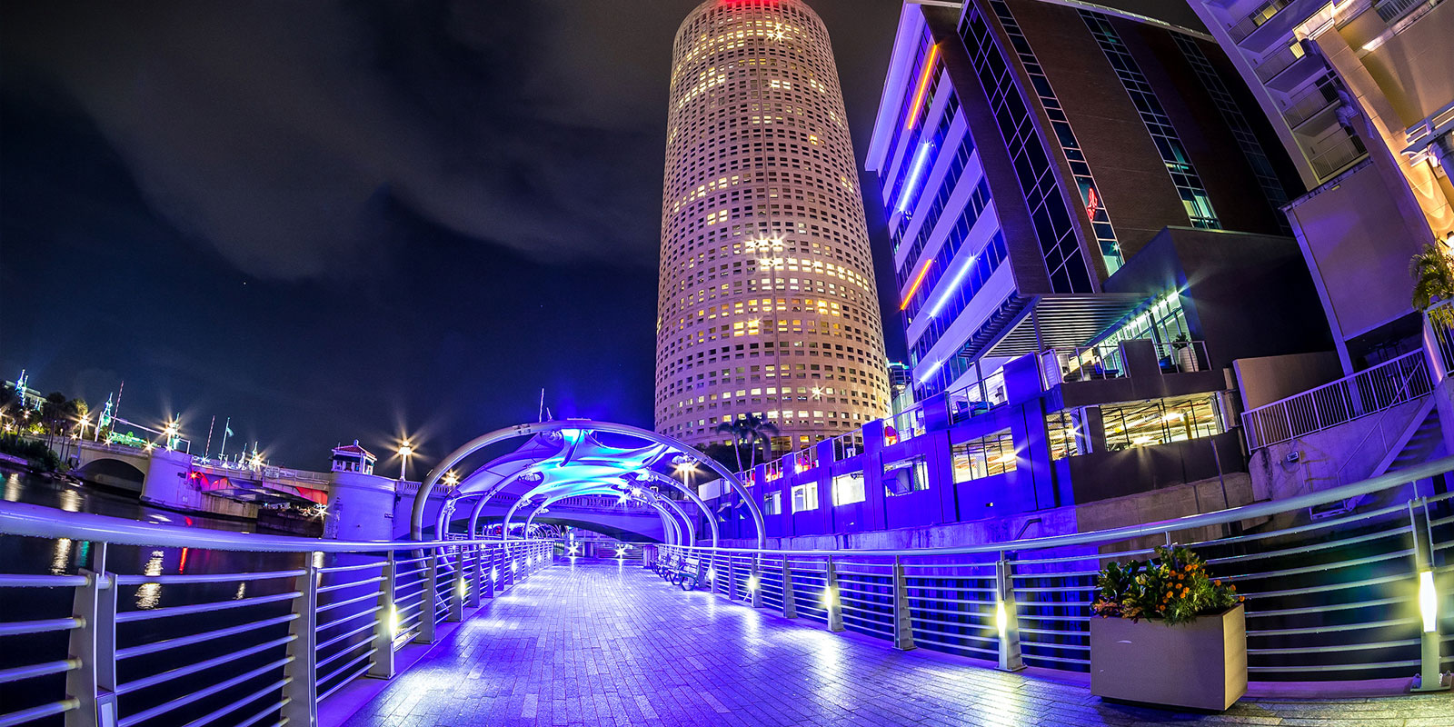 colorful night lights in south tampa