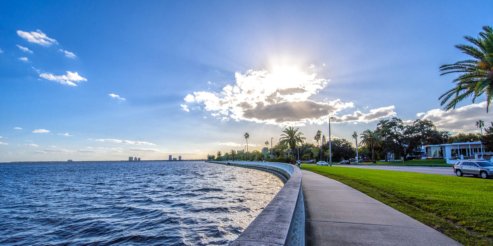 beautiful daylight in south tampa